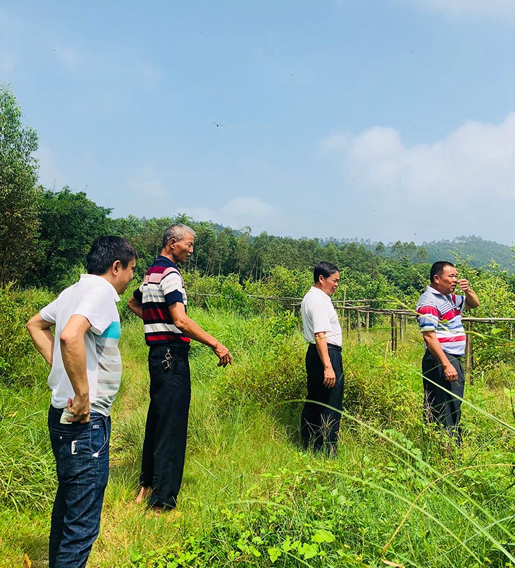 Z6·人生就是博(中国区)官方网站