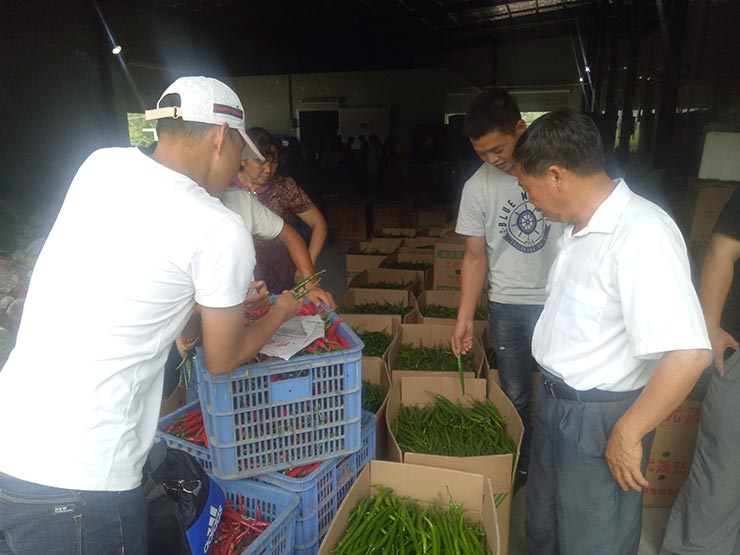 Z6·人生就是博(中国区)官方网站