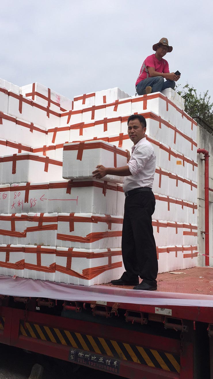 Z6·人生就是博(中国区)官方网站