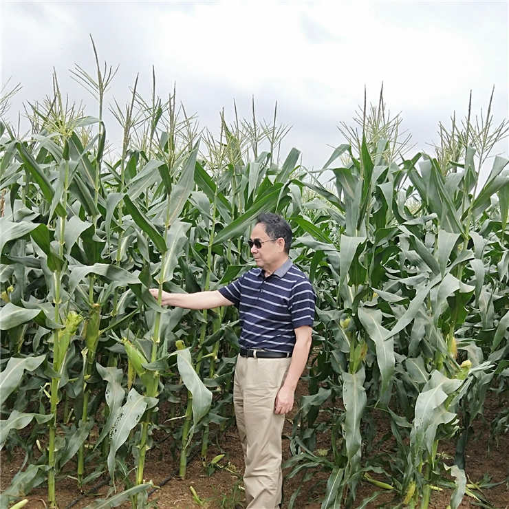 Z6·人生就是博(中国区)官方网站