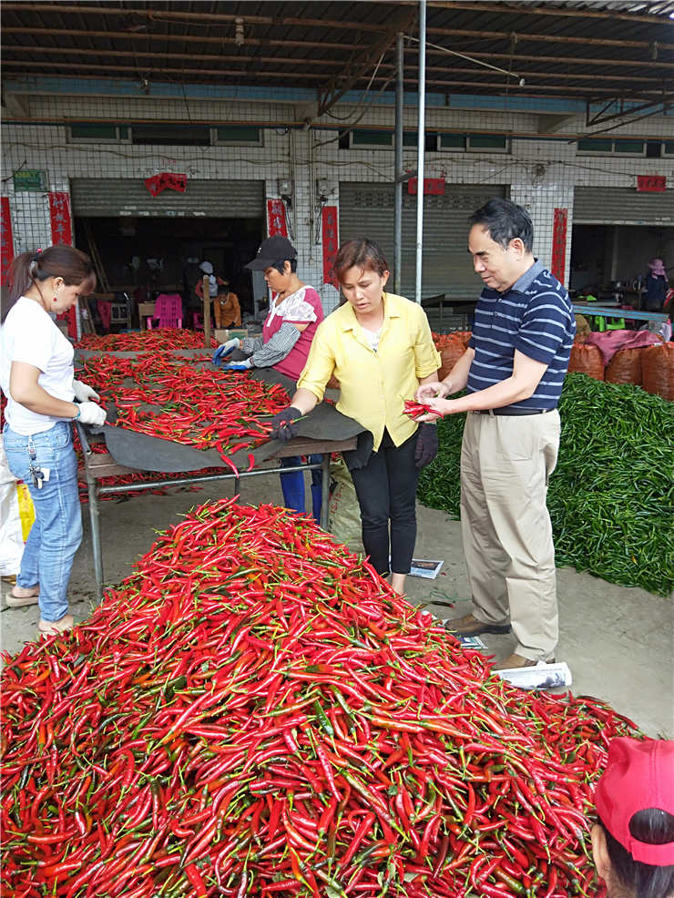 Z6·人生就是博(中国区)官方网站