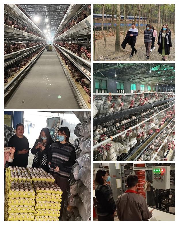 Z6·人生就是博(中国区)官方网站